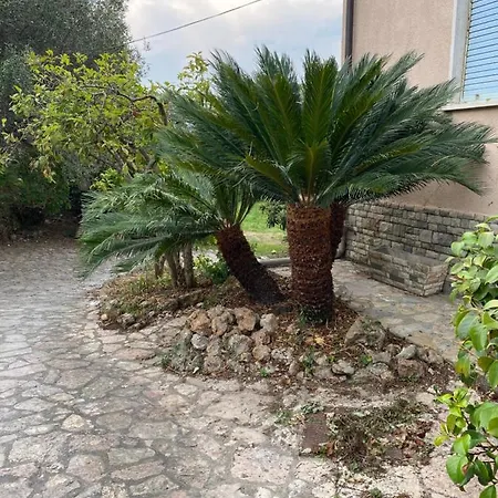 Il Giardino Delle Cycas * Romito Magra