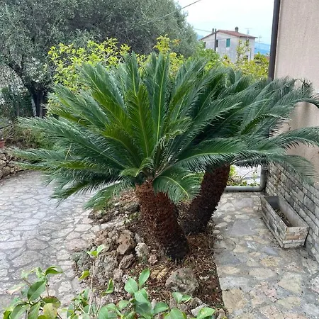 Lejlighed Il Giardino Delle Cycas *