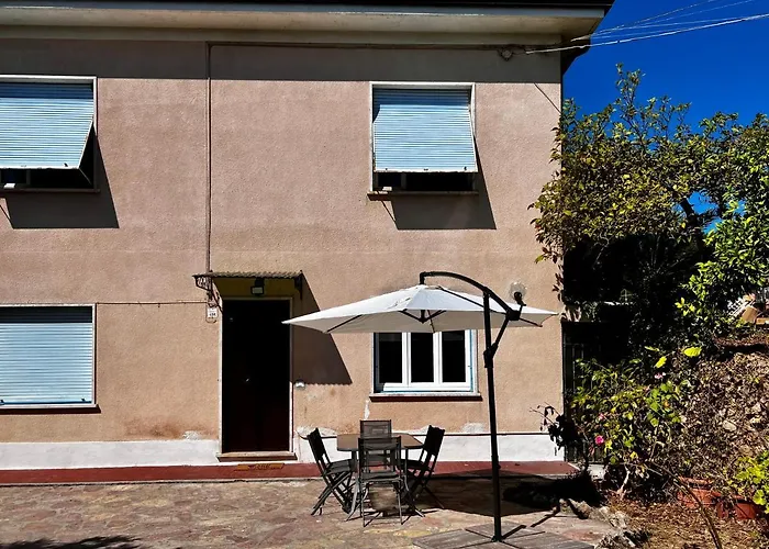 Il Giardino Delle Cycas *