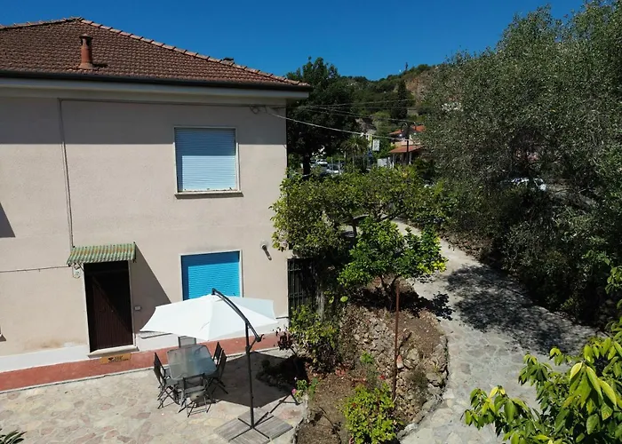 Il Giardino Delle Cycas Romito Magra