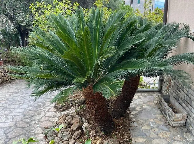Lägenhet Il Giardino Delle Cycas *