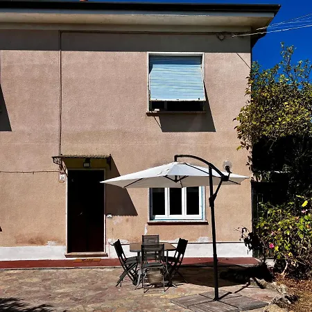 Il Giardino Delle Cycas *